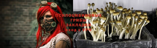 мяу мяу кристалл Каменка