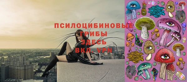 мяу мяу кристалл Каменка