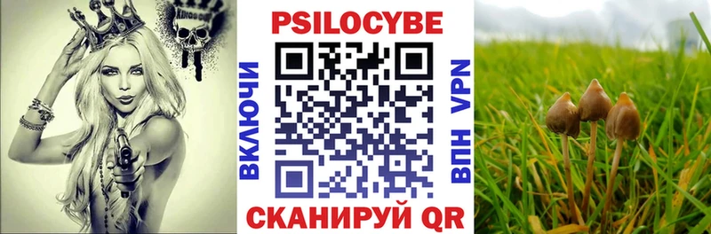 Галлюциногенные грибы Magic Shrooms  Купить закладки  Беломорск 