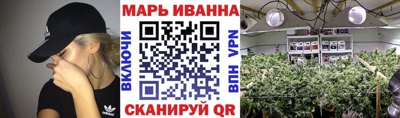 Марихуана гибрид Беломорск